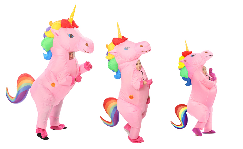 Déguisement festival licorne