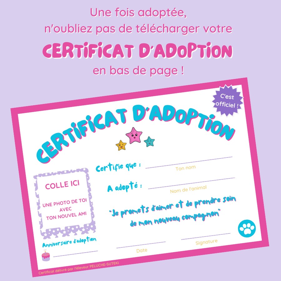 Licorne dans ambiance féérique